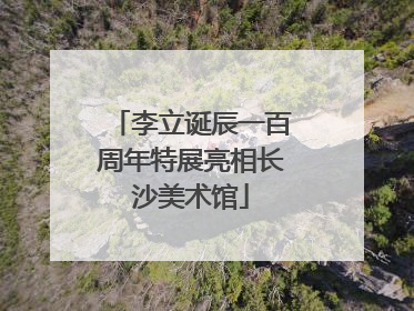 李立诞辰一百周年特展亮相长沙美术馆