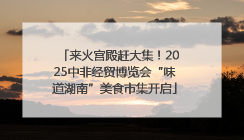 来火宫殿赶大集！2025中非经贸博览会“味道湖南”美食市集开启