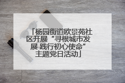 杨园街道欧景苑社区开展“寻根城市发展 践行初心使命”主题党日活动