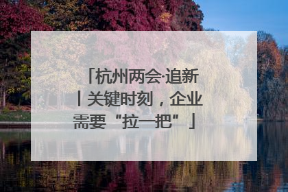 杭州两会·追新丨关键时刻，企业需要“拉一把”