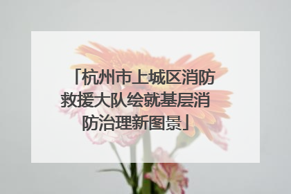 杭州市上城区消防救援大队绘就基层消防治理新图景
