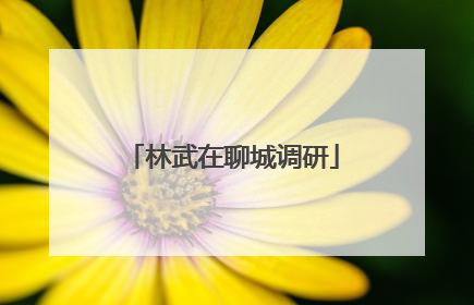 林武在聊城调研