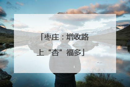 枣庄：增收路上“杏”福多