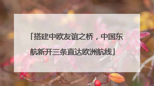 搭建中欧友谊之桥，中国东航新开三条直达欧洲航线