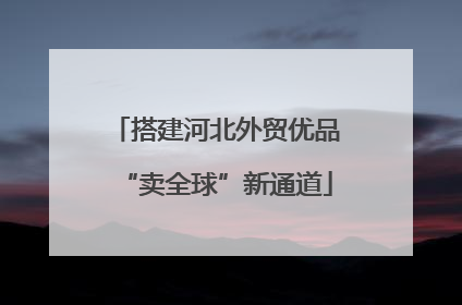 搭建河北外贸优品“卖全球”新通道