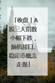 收盘丨A股三大指数小幅下跌，脑机接口、稳定币概念走强