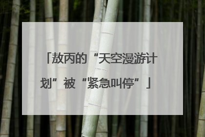 敖丙的“天空漫游计划”被“紧急叫停”