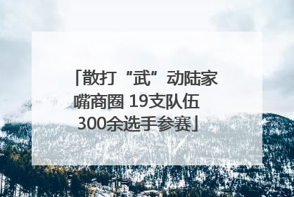 散打“武”动陆家嘴商圈 19支队伍300余选手参赛