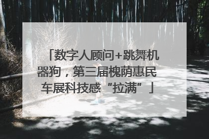 数字人顾问+跳舞机器狗，第三届槐荫惠民车展科技感“拉满”