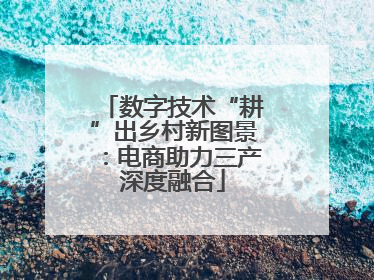 数字技术“耕”出乡村新图景：电商助力三产深度融合