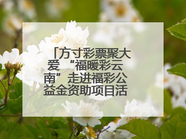 方寸彩票聚大爱 “福暖彩云南”走进福彩公益金资助项目活动在曲靖举行
