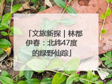 文旅新探｜林都伊春：北纬47度的绿野仙踪