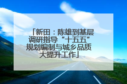 新田：陈雄到基层调研指导“十五五”规划编制与城乡品质大提升工作
