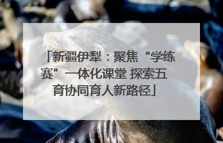 新疆伊犁：聚焦“学练赛”一体化课堂 探索五育协同育人新路径