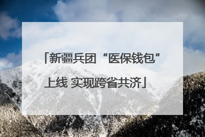 新疆兵团“医保钱包”上线 实现跨省共济