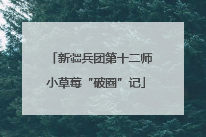 新疆兵团第十二师小草莓“破圈”记