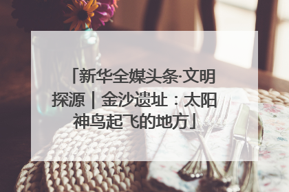 新华全媒头条·文明探源｜金沙遗址：太阳神鸟起飞的地方