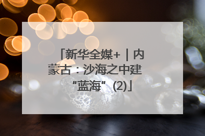 新华全媒+｜内蒙古：沙海之中建“蓝海”(2)