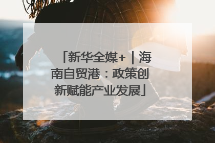 新华全媒+｜海南自贸港：政策创新赋能产业发展