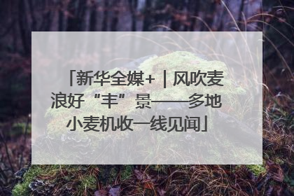 新华全媒+｜风吹麦浪好“丰”景——多地小麦机收一线见闻