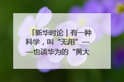 新华时论｜有一种科学，叫“无用”——也谈华为的“黄大年茶思屋”