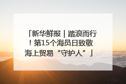 新华鲜报｜踏浪而行！第15个海员日致敬海上贸易“守护人”