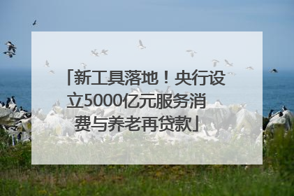 新工具落地！央行设立5000亿元服务消费与养老再贷款