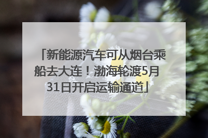 新能源汽车可从烟台乘船去大连！渤海轮渡5月31日开启运输通道