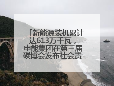 新能源装机累计达613万千瓦，申能集团在第三届碳博会发布社会责任报告