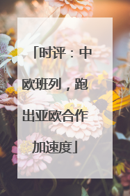 时评：中欧班列，跑出亚欧合作加速度