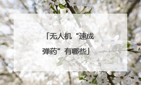 无人机“速成弹药”有哪些