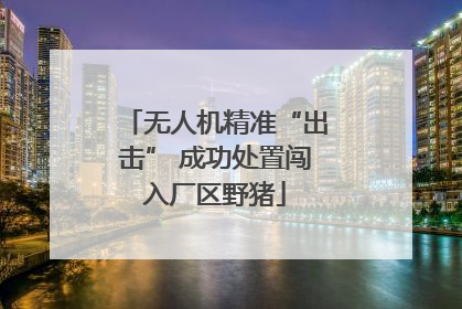 无人机精准“出击” 成功处置闯入厂区野猪