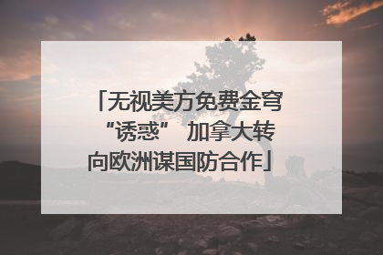 无视美方免费金穹“诱惑” 加拿大转向欧洲谋国防合作