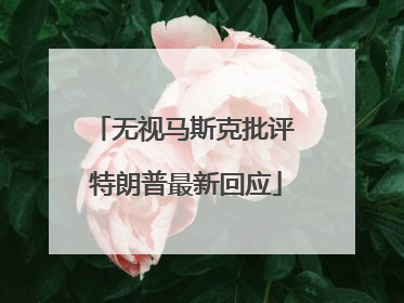 无视马斯克批评 特朗普最新回应