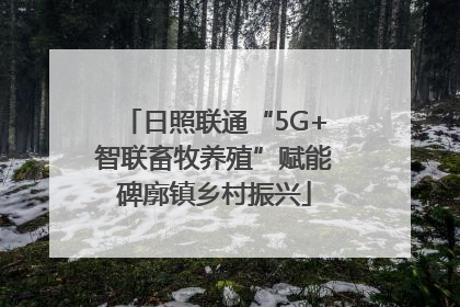 日照联通“5G+智联畜牧养殖”赋能碑廓镇乡村振兴