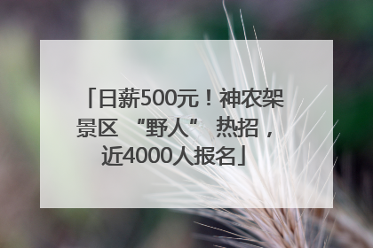 日薪500元！神农架景区 “野人” 热招，近4000人报名
