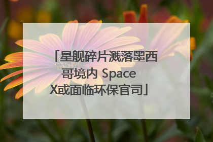 星舰碎片溅落墨西哥境内 SpaceX或面临环保官司