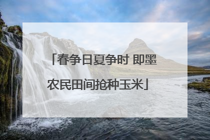 春争日夏争时 即墨农民田间抢种玉米