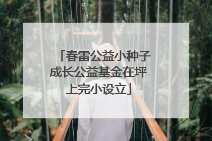 春雷公益小种子成长公益基金在坪上完小设立