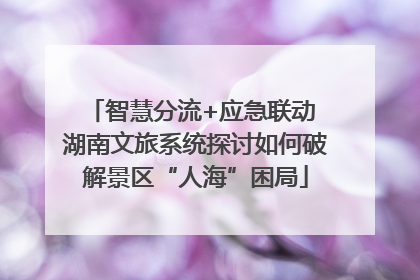 智慧分流+应急联动 湖南文旅系统探讨如何破解景区“人海”困局