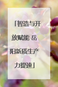 智造与开放赋能 岳阳新质生产力提速