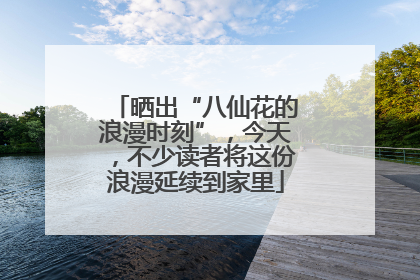 晒出“八仙花的浪漫时刻”，今天，不少读者将这份浪漫延续到家里
