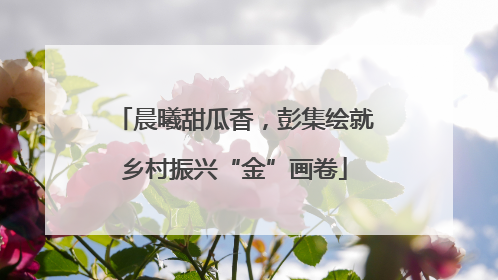 晨曦甜瓜香，彭集绘就乡村振兴“金”画卷