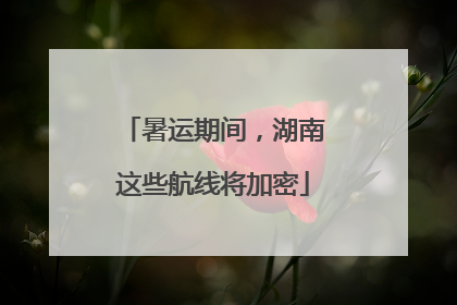 暑运期间，湖南这些航线将加密
