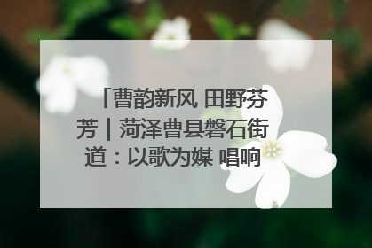 曹韵新风 田野芬芳｜菏泽曹县磐石街道：以歌为媒 唱响乡土“新歌声”