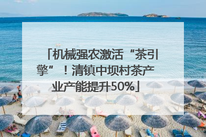 机械强农激活“茶引擎”！清镇中坝村茶产业产能提升50%