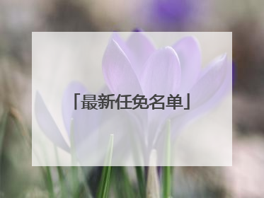 最新任免名单