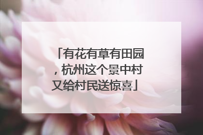 有花有草有田园，杭州这个景中村又给村民送惊喜
