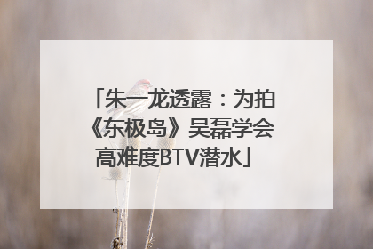 朱一龙透露：为拍《东极岛》吴磊学会高难度BTV潜水