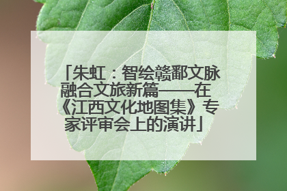 朱虹：智绘赣鄱文脉 融合文旅新篇——在《江西文化地图集》专家评审会上的演讲